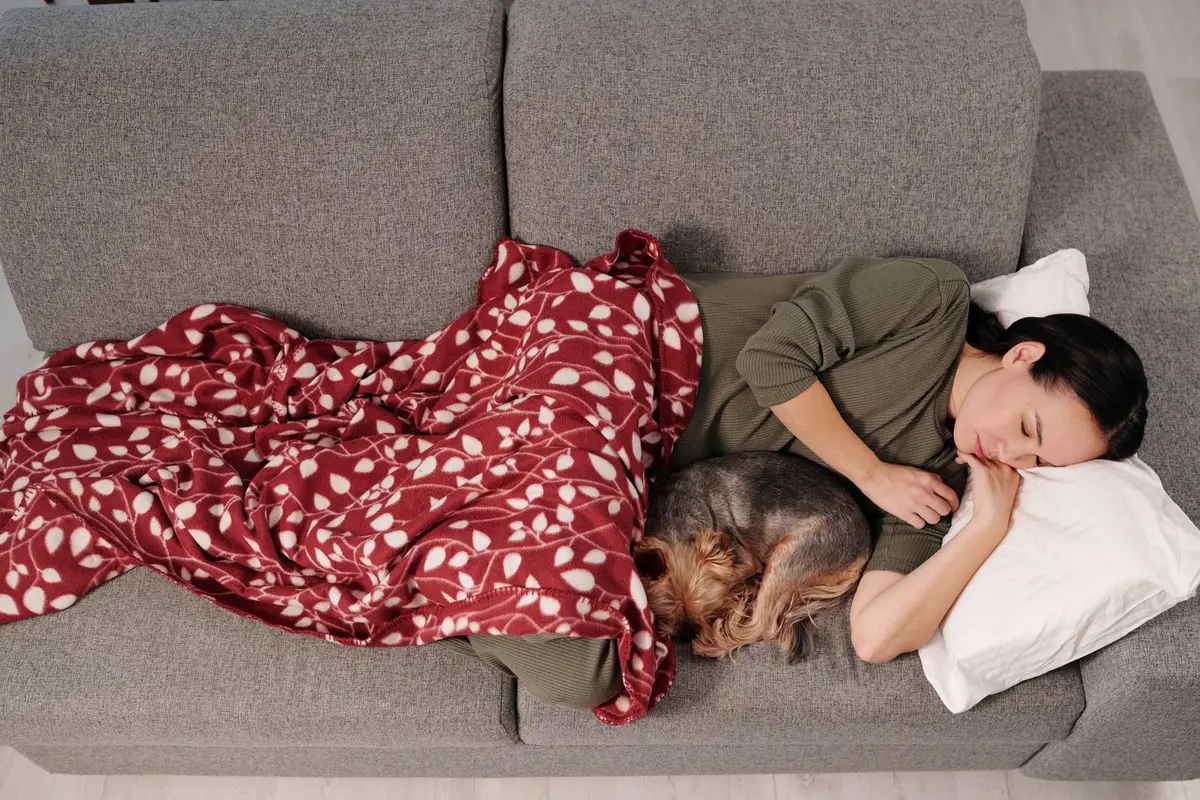 woman napping on a sofa under a blanket with her pet, after thanksgiving humor