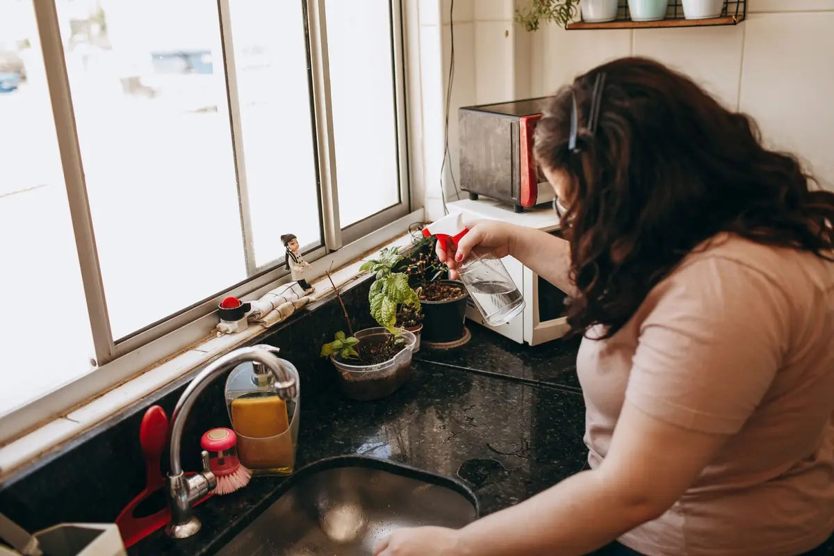 woman tending houseplants at a bright kitchen window, aloe plant puns for the kitchen window