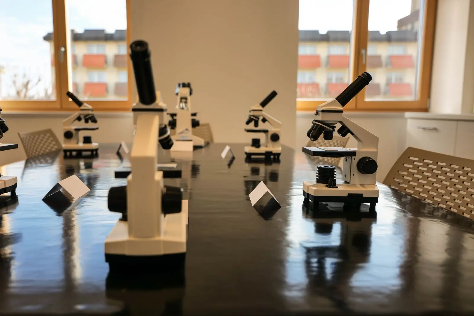 microscopes lined up in a bright classroom lab, image for biology lab humor for teachers