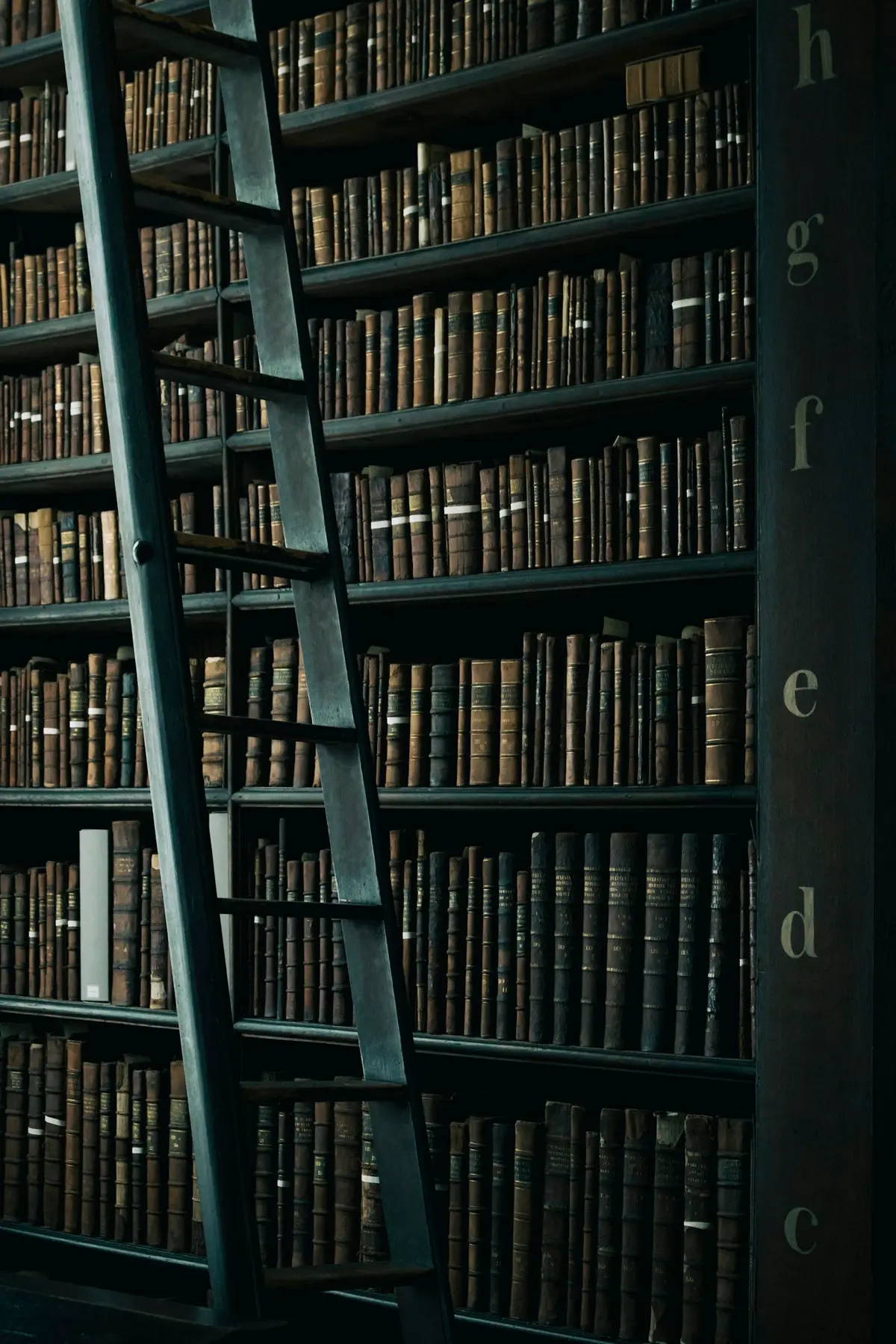 wooden ladder leaning against tall library bookshelves, the setting for library puns and librarian jokes