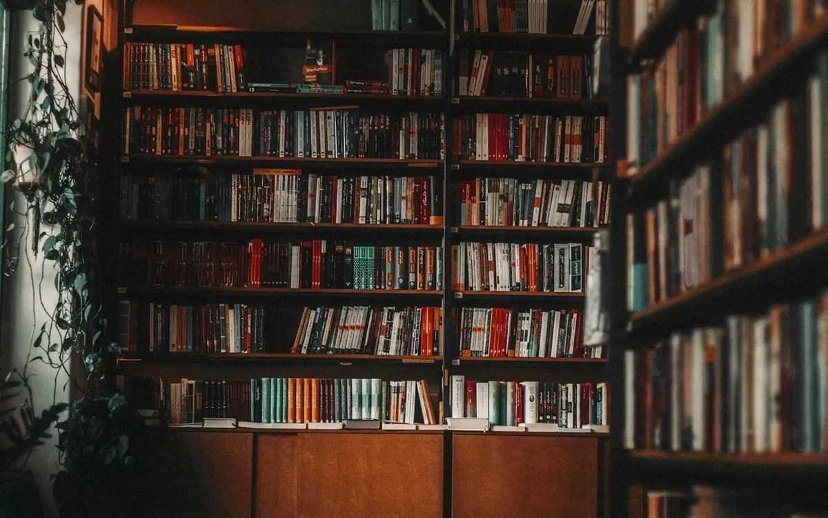 tall wooden bookshelves full of books beside a window, image for bookstore puns and library jokes