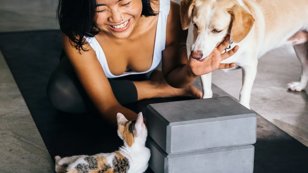 a woman doing yoga on a mat at home with her pets nearby, image for cat yoga class puns