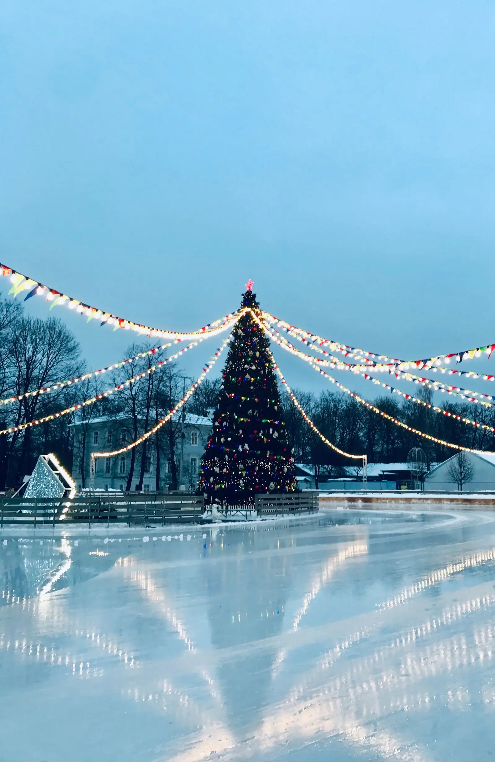 giant Christmas tree beside a winter ice rink, image for christmas hockey puns for cards