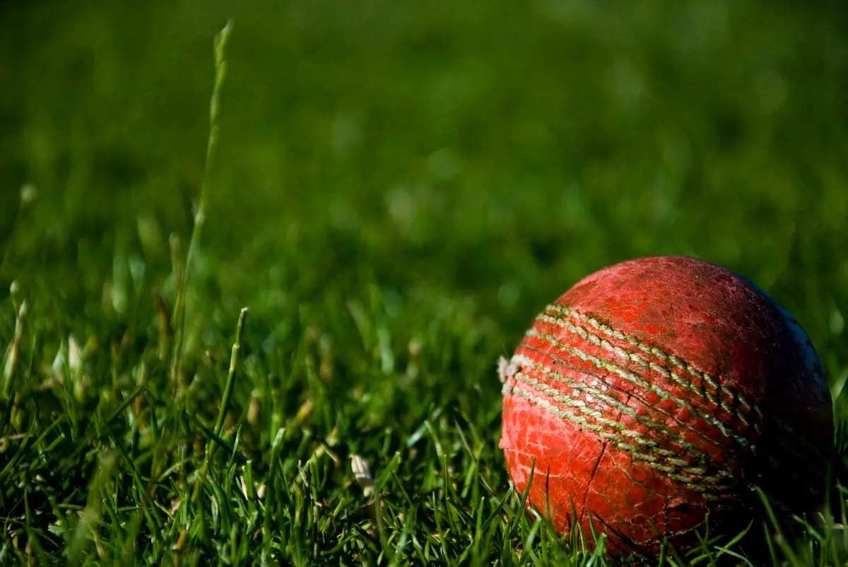 cricket puns