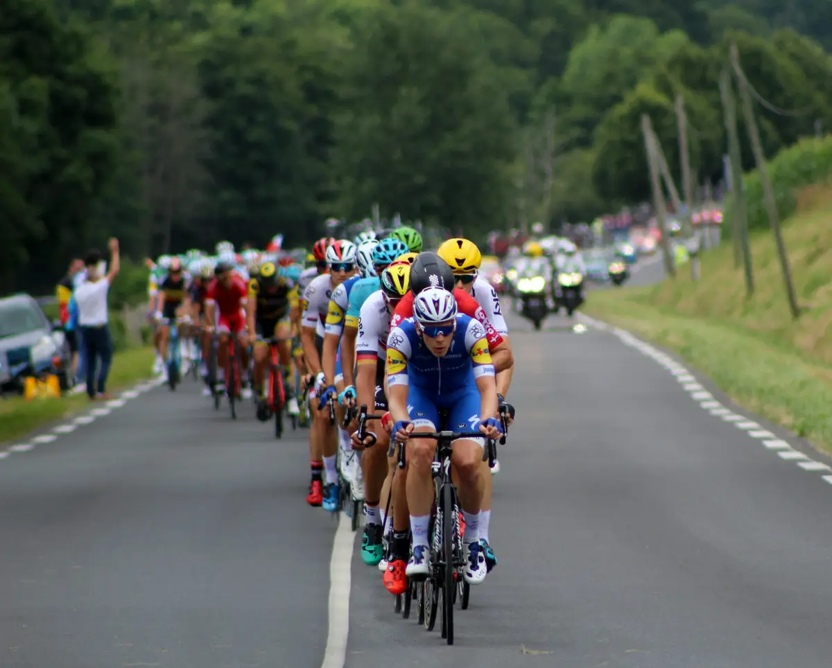 peloton of professional cyclists racing down a tree-lined road, image for bike race puns