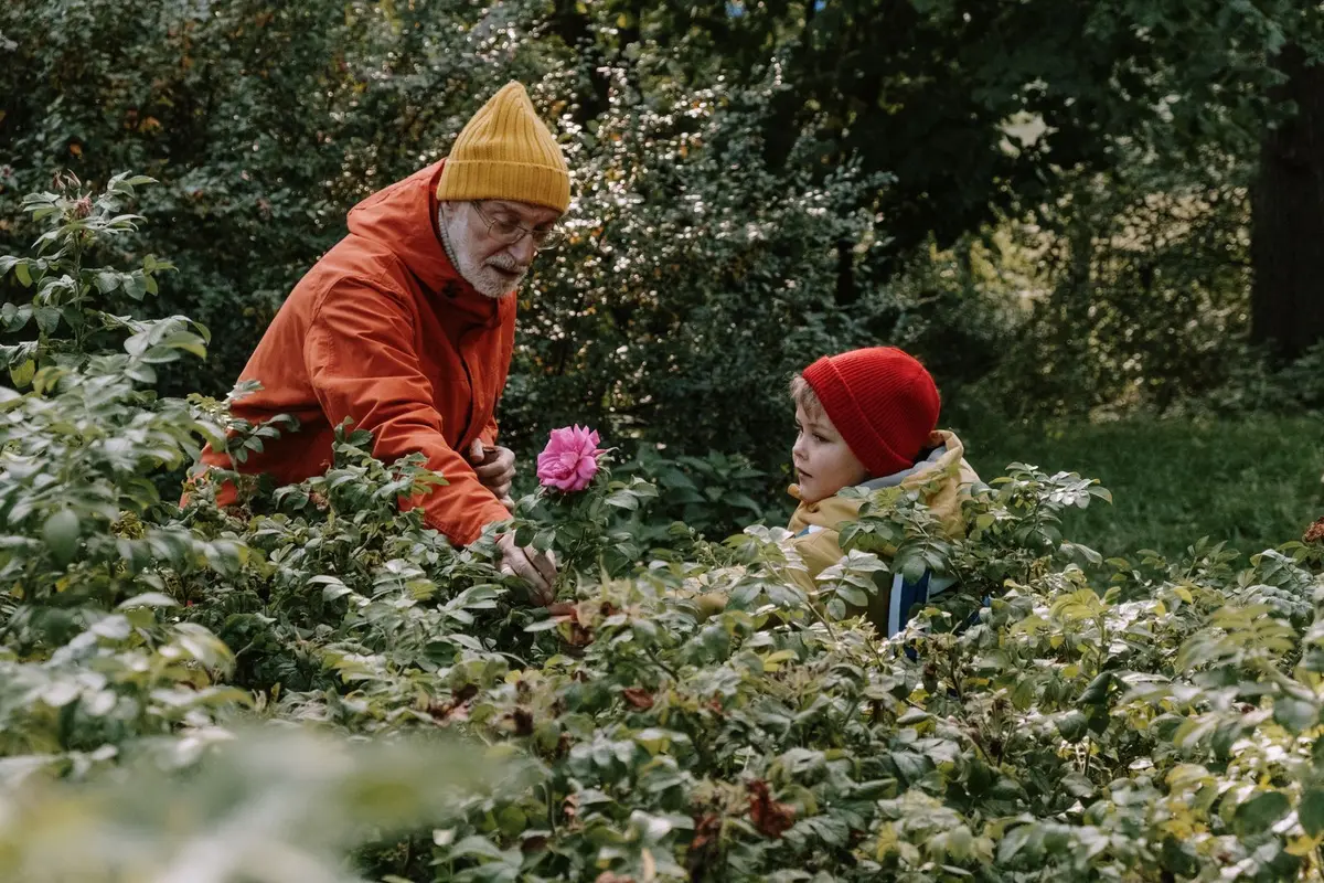 dad jokes about flowers