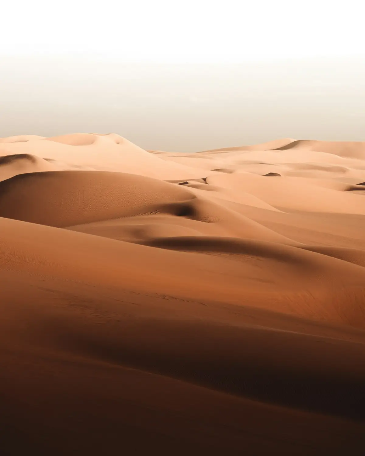 golden sand dunes stretching across a desert landscape, image for desert geography puns