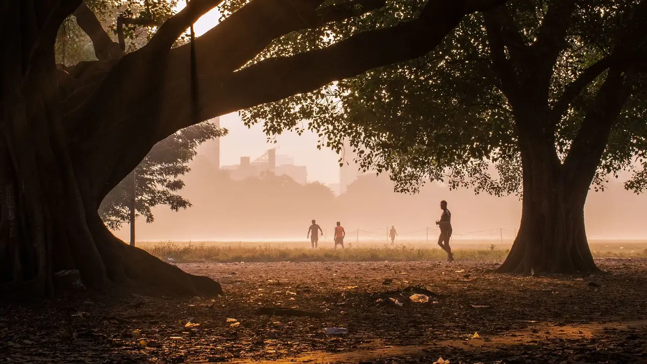 runners crossing a misty park at sunrise under big trees, image for distance knock knock running jokes