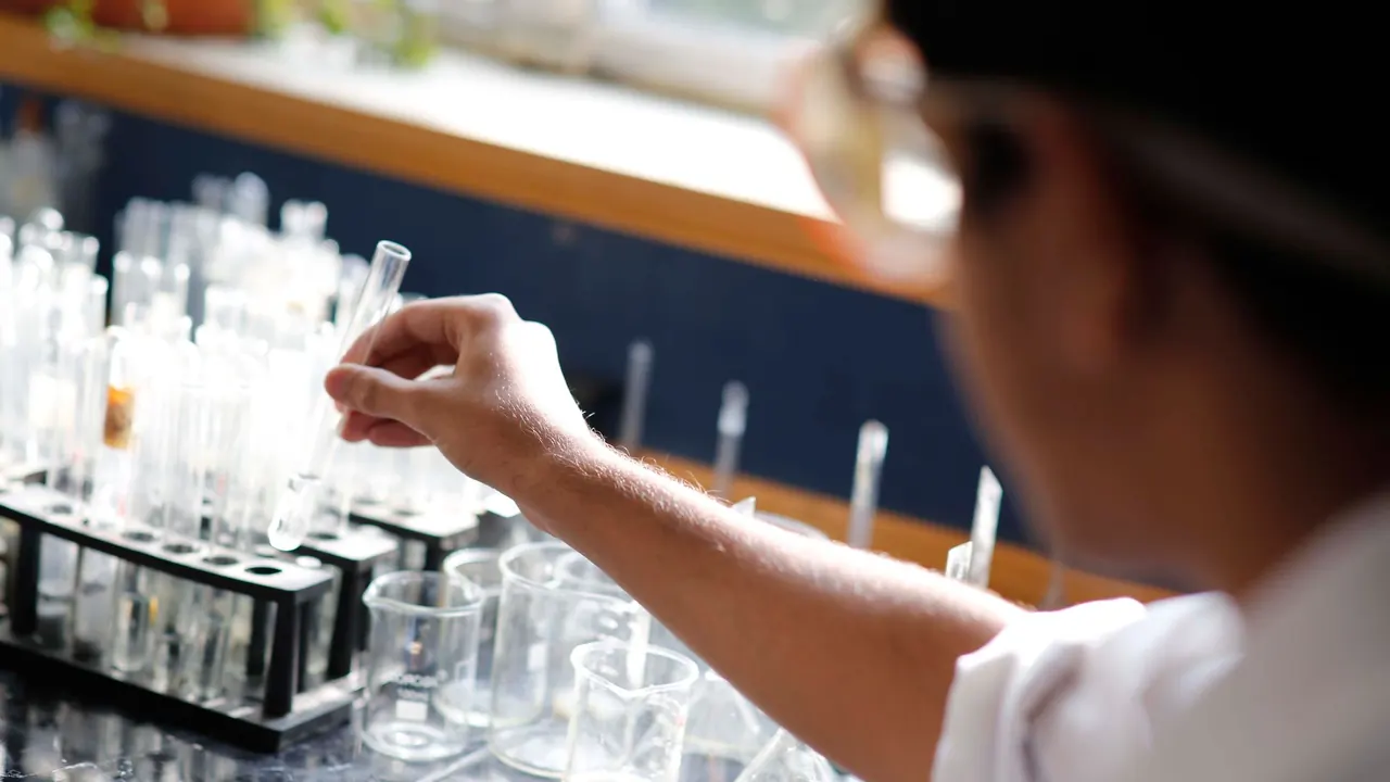 a student working with test tubes at a lab bench, image for organic chemistry lab jokes