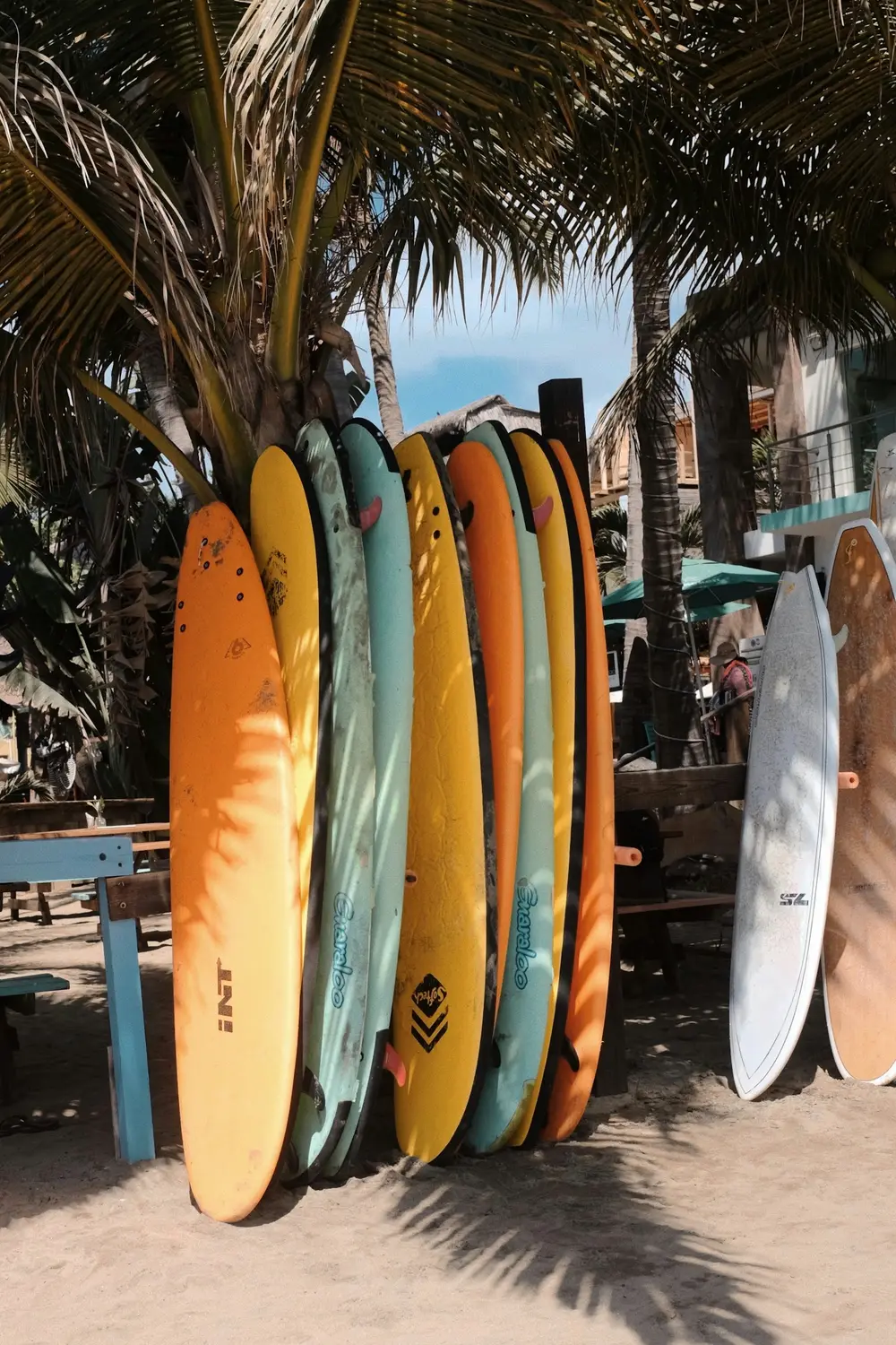 row of colorful surfboards standing in a rack under palm trees, image for short surfing puns